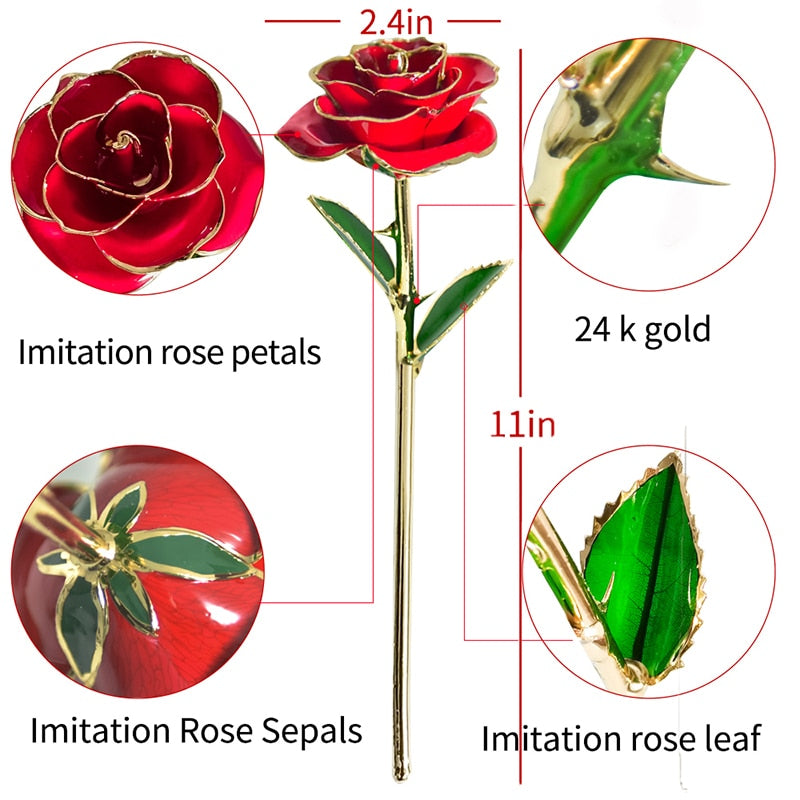 ForaFlora - 24k Gold Dipped Rose - My Daily Bargainz